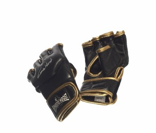 GANTS MMA "ERNESTO HOOST"